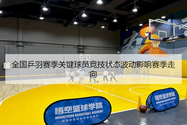 全国乒羽赛季关键球员竞技状态波动影响赛季走向